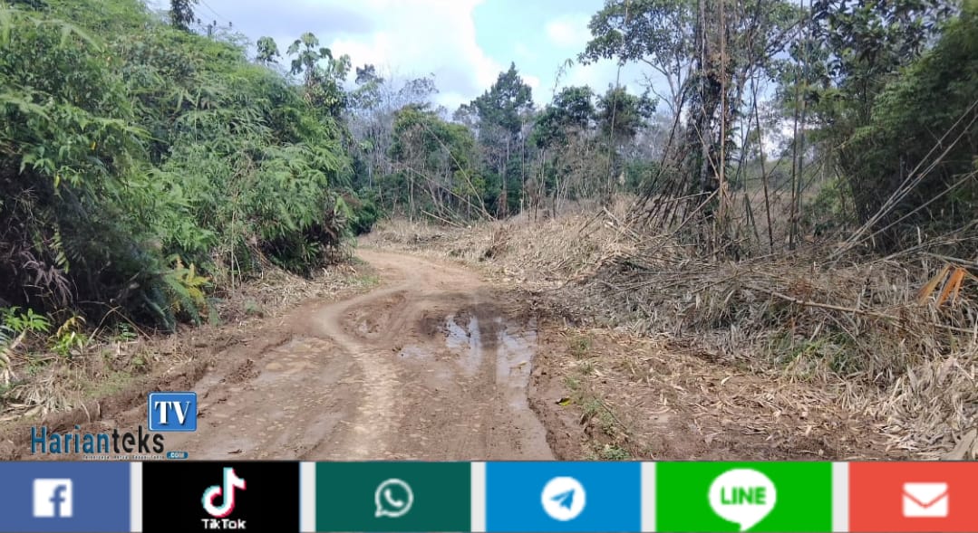 Jalan Desa Talang Paruh Takter Benahi Pemerintah Daerah Merangin, Belum Nampak Rencana Perbaikkan